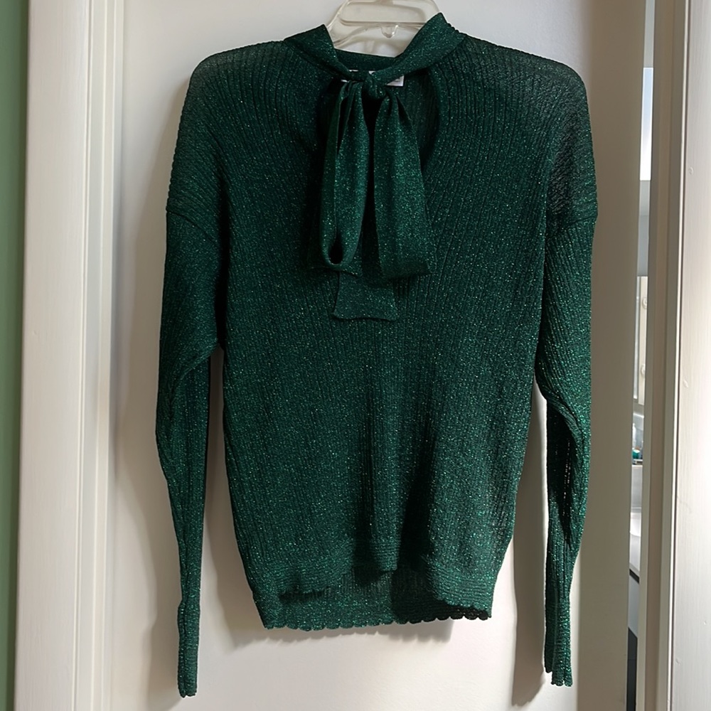 Zara Shimmery V-Neck Knit with attached neck scarf in Green